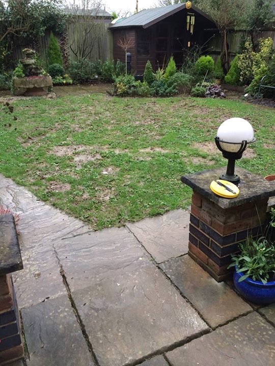 Artificial Grass Company Grass Ranges Kildare Grass