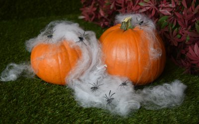 Spooktacular October Offer – 15% Off