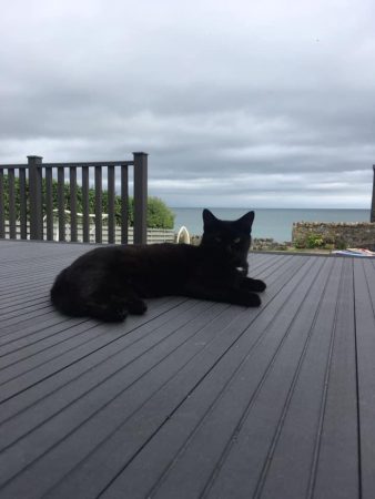 Graphite Composite Decking